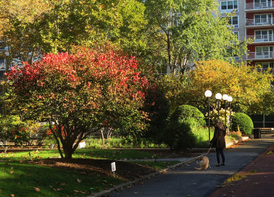 October 12, 2015 Photo Shoot - Washington Square Area 