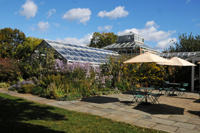 Fall - Staten Island Botanical Garden 