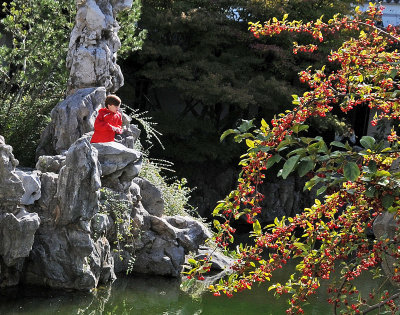 Meditation in the Chinese Scholar Garden