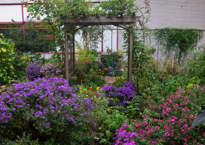 October 22, 2015 Photo Shoot - Mostly LaGuardia Corner Community Garden & Washington Square