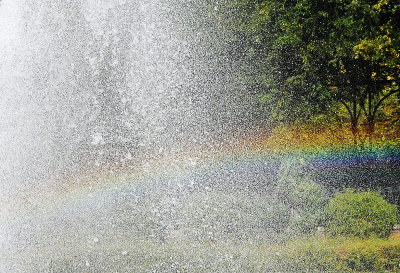 Catching a Rainbow in a Fountain Spray