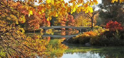 Bow Bridge in the Fall Season