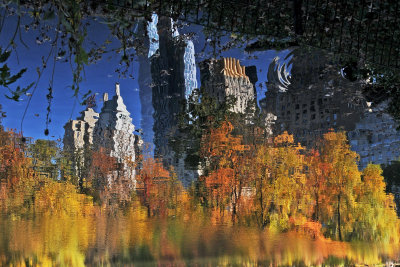 Central Park South Duck Pond Reflections