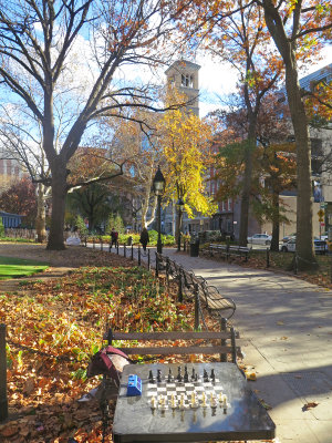 November 23, 2015 Photo Shoot - Washington Square Area Parks & Gardens