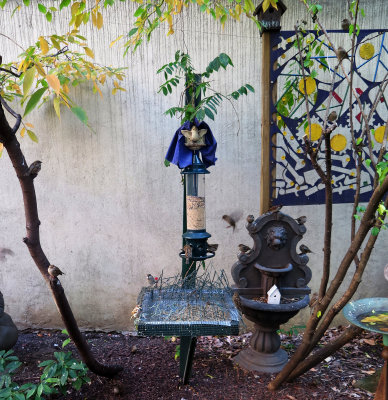 Creative Little Garden Bird Feeding Station