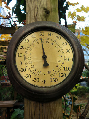 Afternoon Temperature