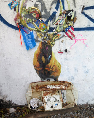 December 5, 2015 Photo Shoot - Mostly East Village Liz Christy Community Garden 