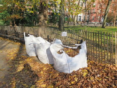 December 8-9, 2015 Photo Shoot -  Washington Square Area