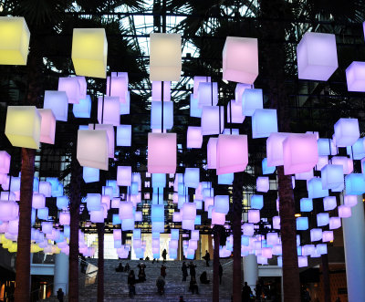 Interactive Holiday Lights at the Winter Palace Palm Court