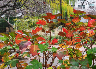 December 12-13, 2015 Photo Shoot - Washington Square Area 