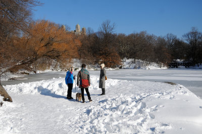 January 25, 2016 Central Park Winter