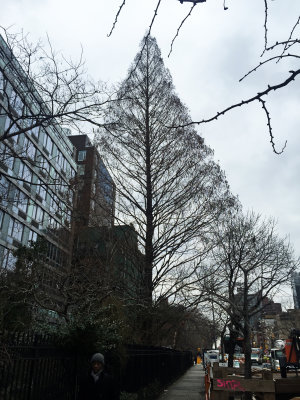 February 17, 2016 Photo Shoot - Morning Walk from Bleecker & LaFayette to East Houston & 2nd Ave