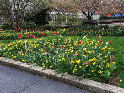 April 8-9, 2016 Photo Shoot - iPhone Mostly Local Washington Square Gardens