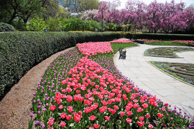 April 18-19, 2016 Photo Shoot - Washington Square Local & Central Park Conservatory Gardens