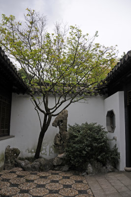 DSC_1814.jpg