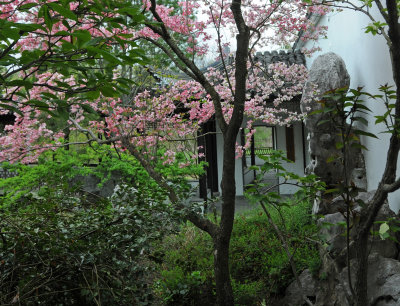 DSC_1817 copy.jpg