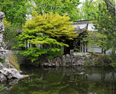 DSC_1822 copy.jpg