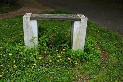 DSC_1836.jpg