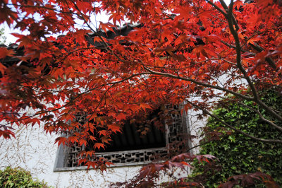 DSC_1839.jpg