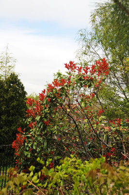 DSC_1846.jpg