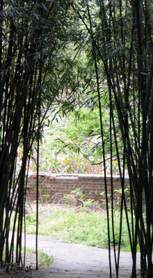 DSC_1849.jpg