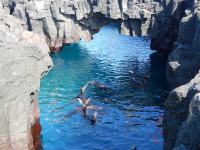 DSCN8685.JPG