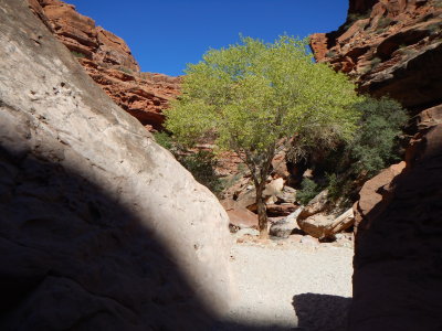 DSCN9373.JPG