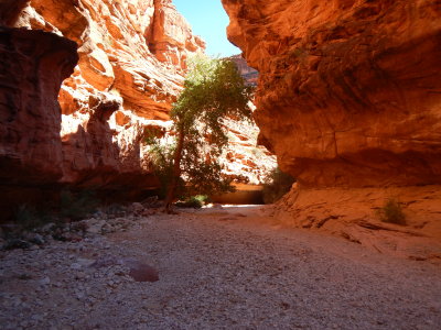DSCN9377.JPG