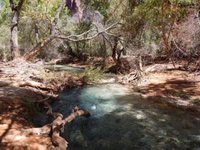 DSCN9378.JPG