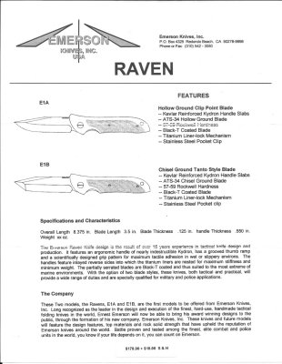 EKI Raven flyer 2.jpg