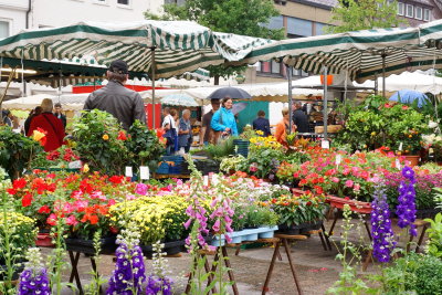 Ulm. Weekly market