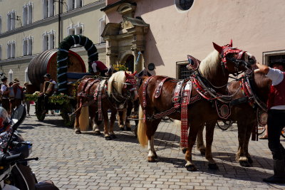 Straubing. Brewery wagon and horses