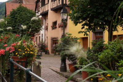 Alsace 27.JPG Ribeauvill