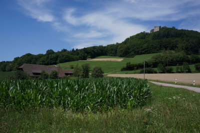 Lahr and Area 21.JPG