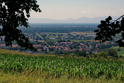 Lahr and Area 47.JPG
