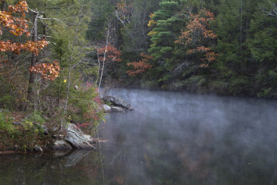 Chilly morning. Bigelow Hollow State Park, Union, CT