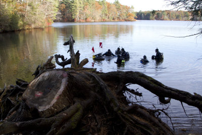 Diving in a lake. Bigelow Hollow State Park, Union, CT