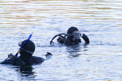 Diving in a lake. Bigelow Hollow State Park, Union, CT