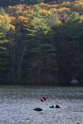 Diving in a lake. Bigelow Hollow State Park, Union, CT