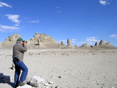Trona Pinicles