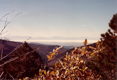 Fall Colors and view of White Sands