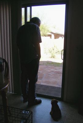 Casey and dad looking outside