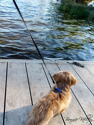 Love the view of Rainbow Lake, but this floor moves too much