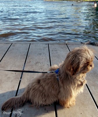 Rainbow Lake