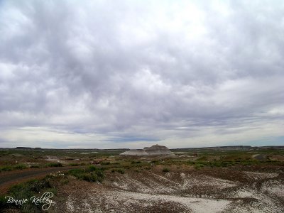 View from the Crystal Forest Trail at the NP