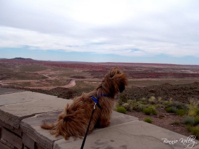 Nice view of Painted Desert National Park
