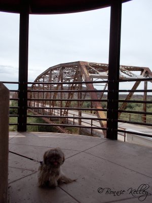 Casey at the Historic Gillespie Dam Bridge Overlook