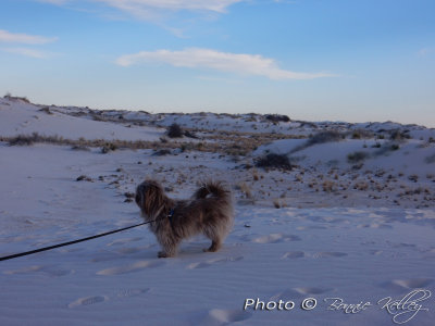 Casey at White Sands N.M. This is Cool!