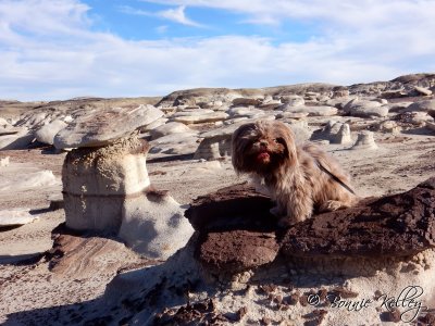 Casey at Bisti/De-Na-Zin Wilderness