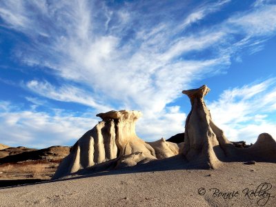 Bisti/De-Na-Zin Wilderness